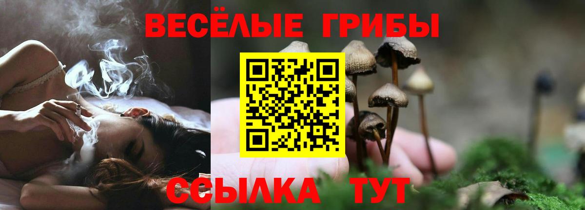 Псилоцибиновые грибы мицелий Феодосия